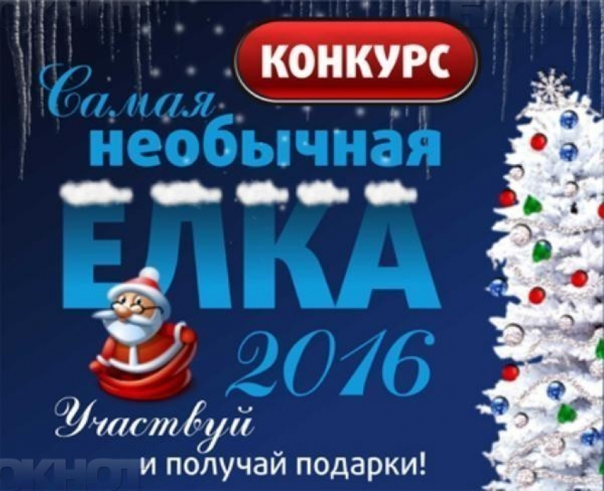 Началось голосование в конкурсе «Самая необычная елка 2016»