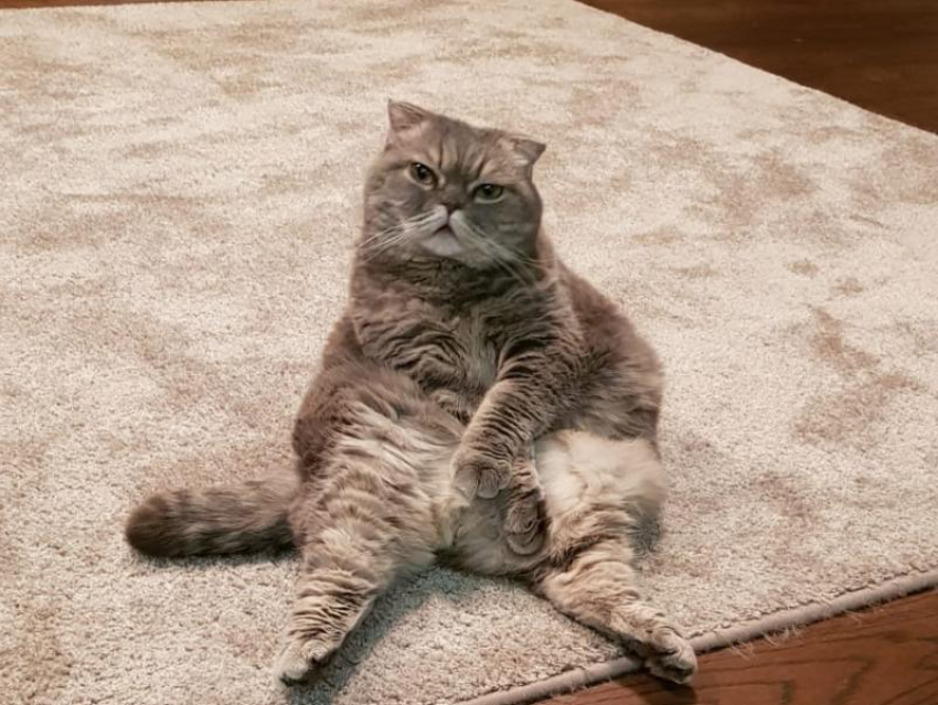 На Кубани 13 июня местами пройдет кратковременный дождь