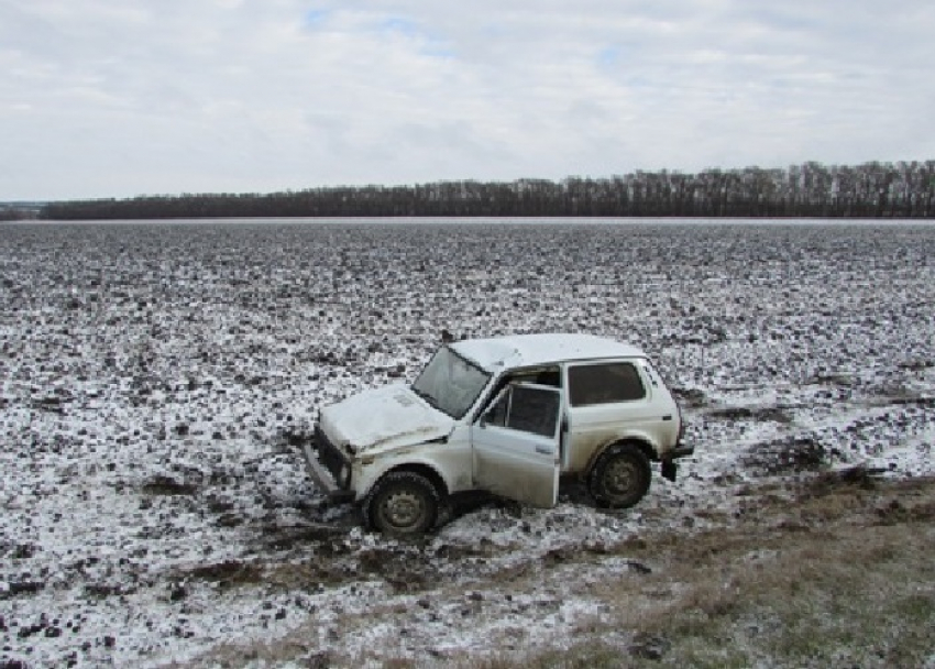 В Кущевском районе «Нива» вылетела с трассы в поле
