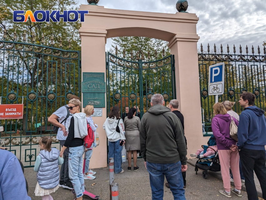 Дендрарий в Краснодаре закрыли из-за санитарных работ 