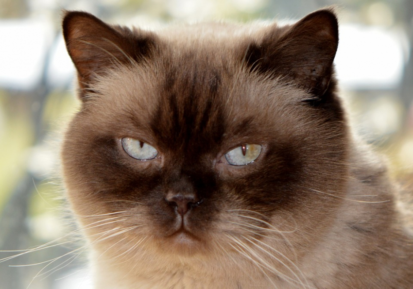 На смену морозам на Кубани придет потепление 