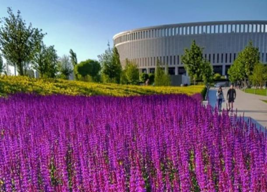Жителей Краснодара восхитила «новая локация» в парке Галицкого