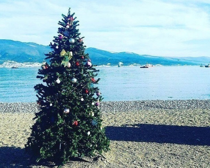 «Морская елка» установлена на пляже Новороссийска