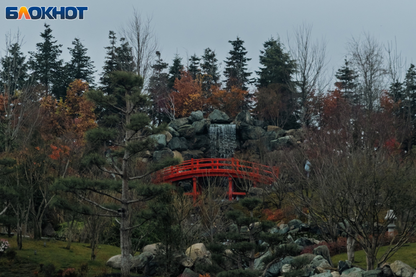 Ударит морозом, а затем подкинет +17: погода «сходит с ума» в Краснодаре