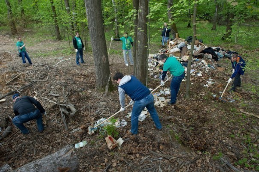 В Краснодаре завершат санитарную уборку к 1 июня