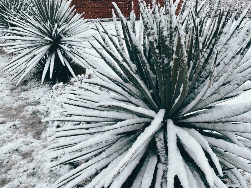 Синоптики обещают в Краснодаре гололедицу и 0 градусов 
