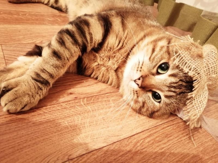 Гололед ожидается на Кубани 