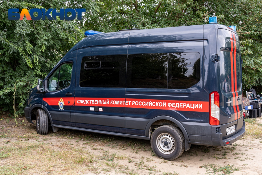 Краснодарцы похитили школьницу в Орловской области