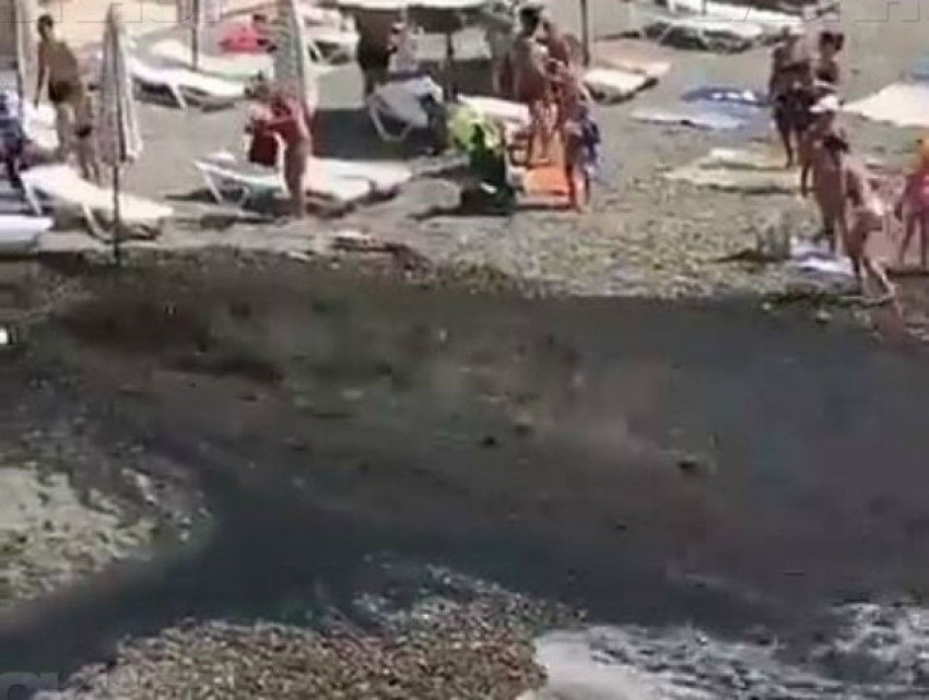 «Это катастрофа!» - экологи рассказали об угрозе после порыва канализации в Сочи