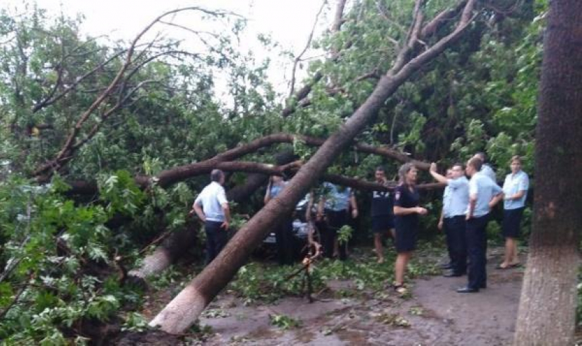 Две сотни человек ликвидируют последствия урагана в Армавире