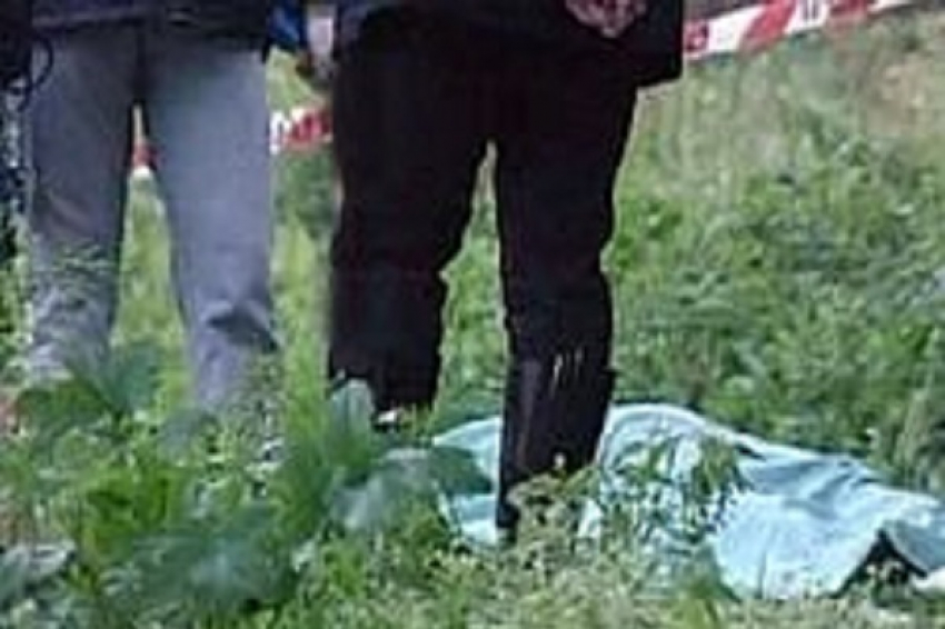В лесополосе Тимашевска найдены останки женщины