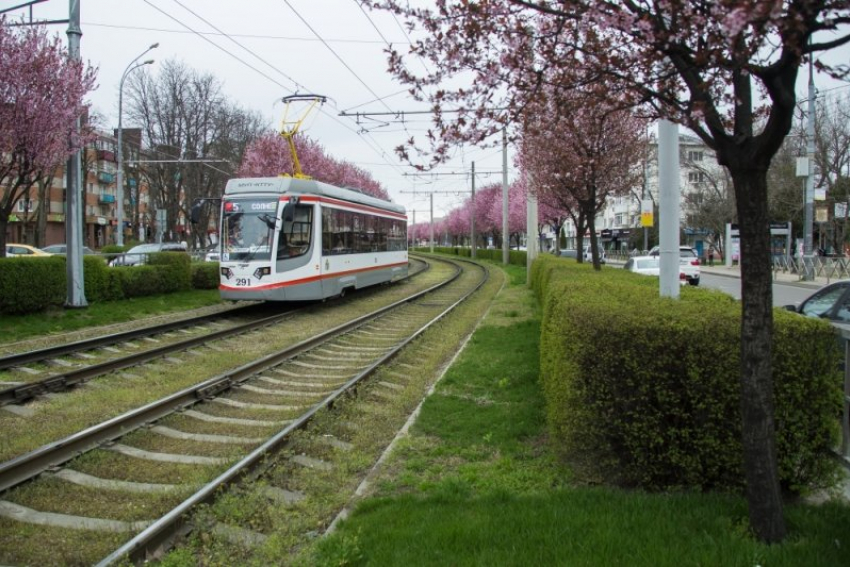  В мэрии Краснодара рассказали об экономии при покупке новых трамваев 