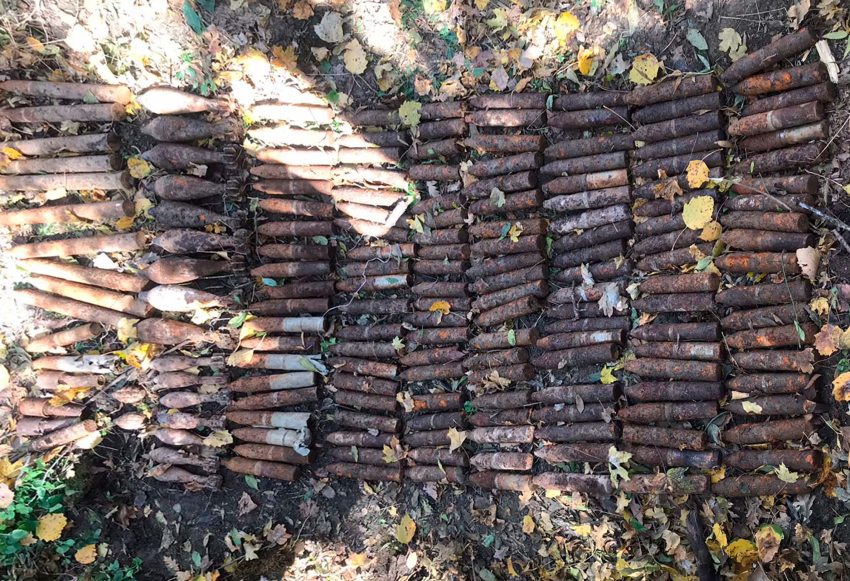 Грибник обнаружил в лесу Крымского района 170 боеприпасов времен войны