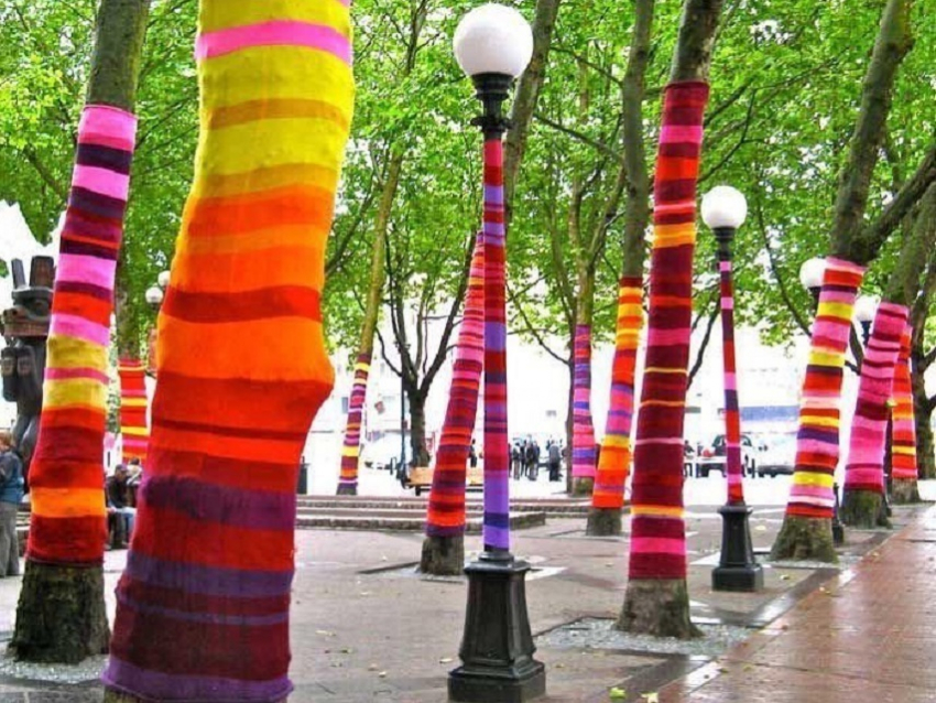 Новогодний street art: в Краснодаре украсили деревья вязаными «шарфиками"