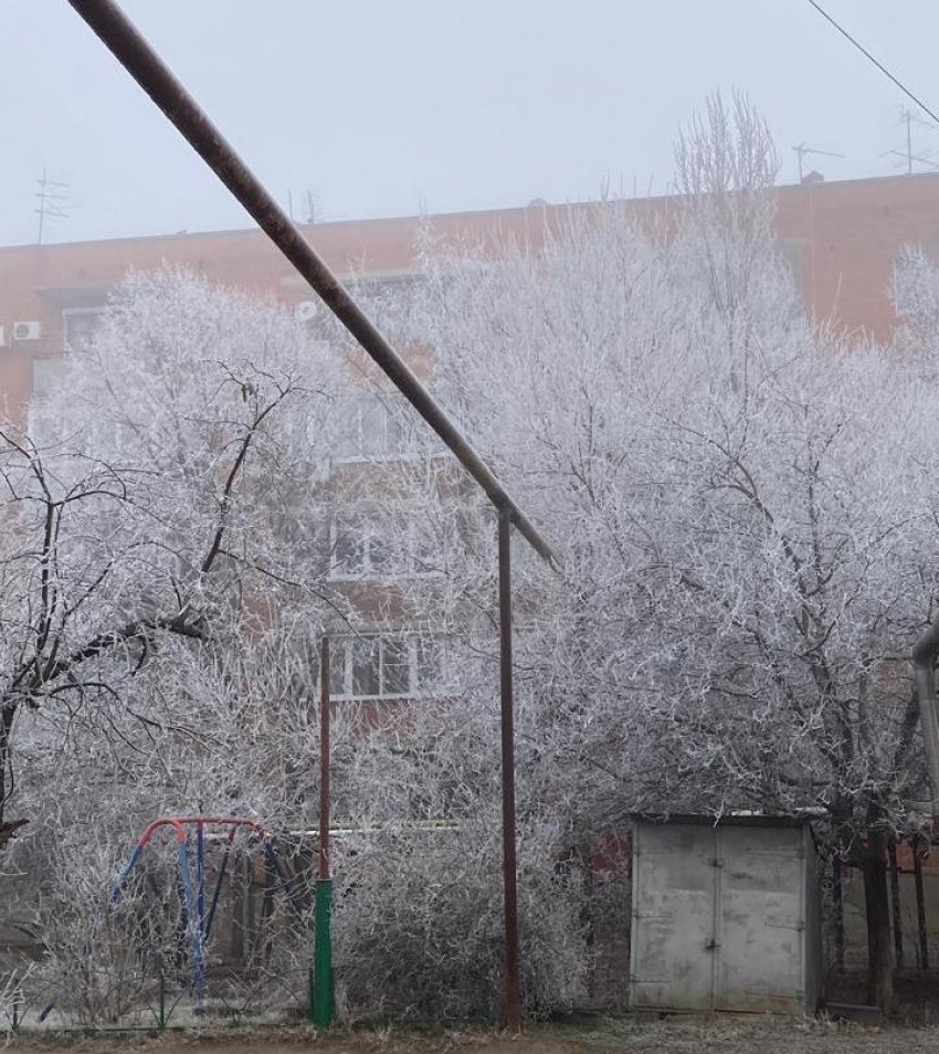 Главное в Краснодаре сегодня: на Кубани обидели Льва Толстого, казачка собралась к Путину, Лепс опережает Ревву, а кто-то выживает с пулей в груди 