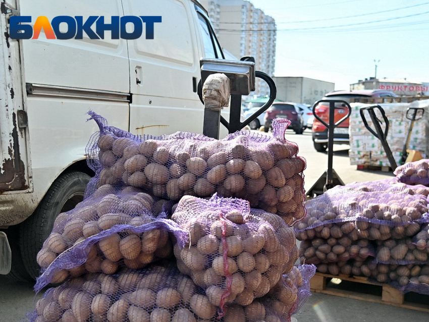 Тонны египетского картофеля с опасным вредителем привезли в Краснодарский край