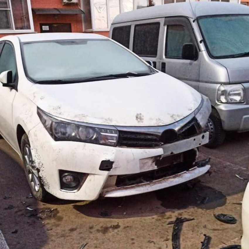 «Мохнатые автомеханики»: в Краснодаре собаки разобрали автомобиль на запчасти
