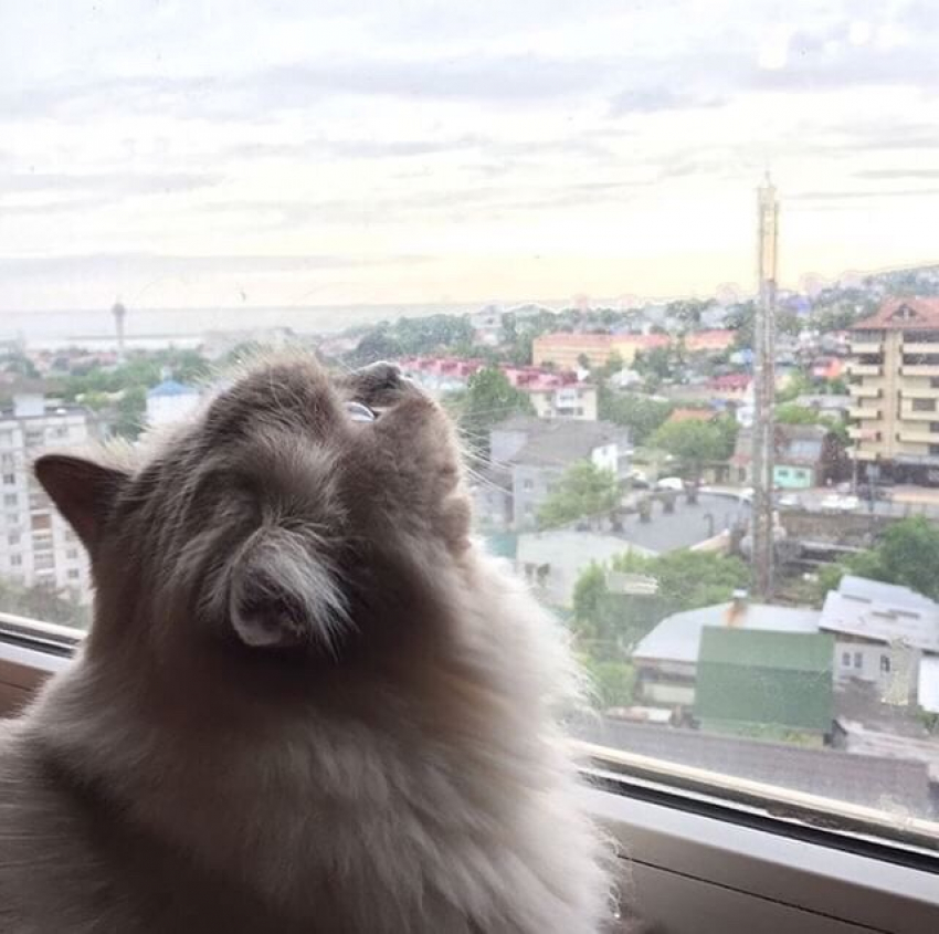 Сильные осадки и гололед спрогнозировали в Краснодарском крае 