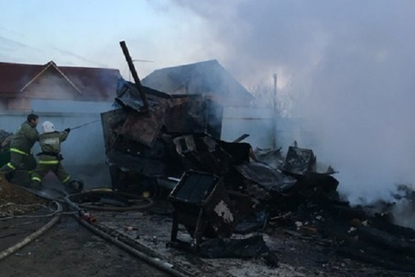 В Краснодаре при пожаре сгорели 30 кошек, 80 собак остались без еды и медикаментов