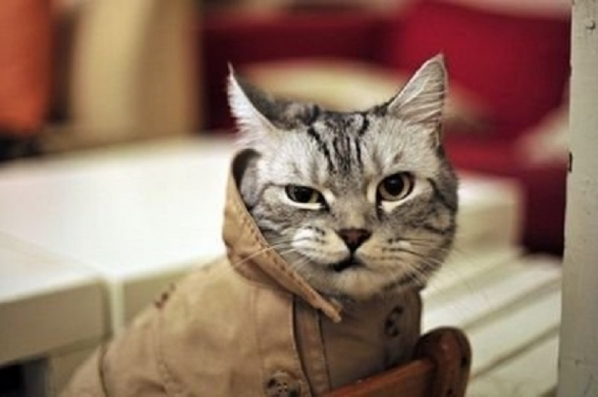 Температура опустится до 11 градусов в Краснодарском крае 