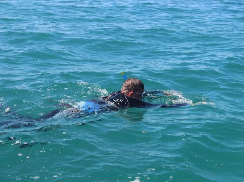 Армавирский спортсмен переплывет Черное море