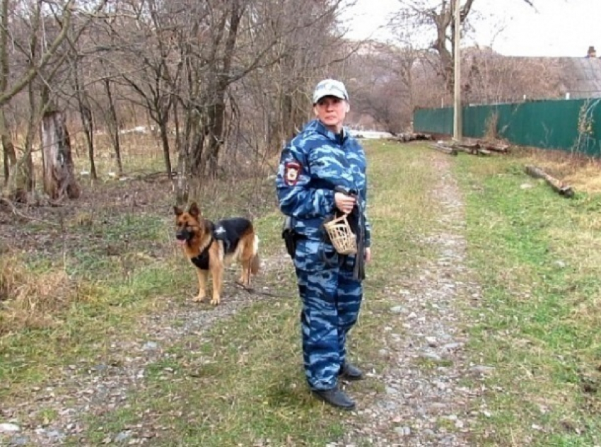 Овчарка Яра помогла раскрыть кражу бензопил в Краснодарском крае 