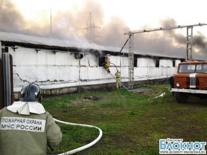 В Динском районе сгорел крупный производственный склад