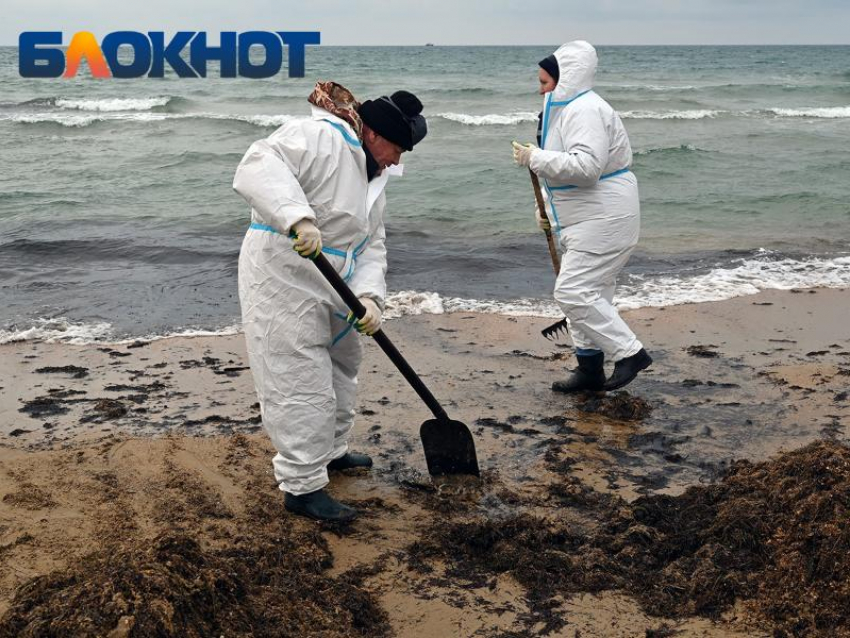 Стоит ли ехать в Анапу: о безопасности пляжей вновь заговорили на Кубани