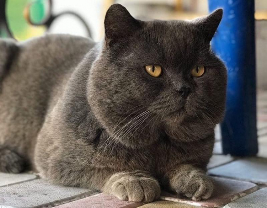 Дождь и грозы ждут кубанцев 5 мая