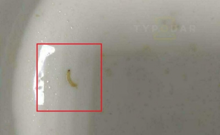 В каше в одном из детских садов Краснодара нашли гусениц 