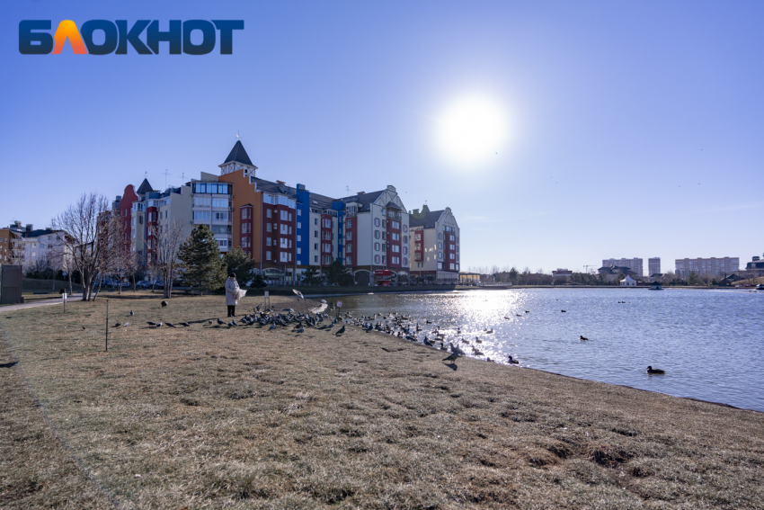 По ощущениям до -11 будет в Краснодаре 4 февраля  