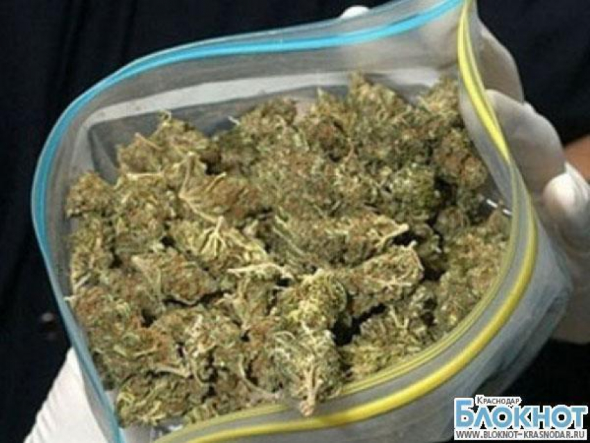 Брюховецкий район: у местного жителя нашли 2,2 кг марихуаны