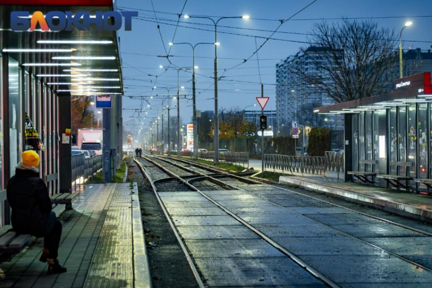 После аномального тепла в Краснодаре произойдет «откат в зиму»