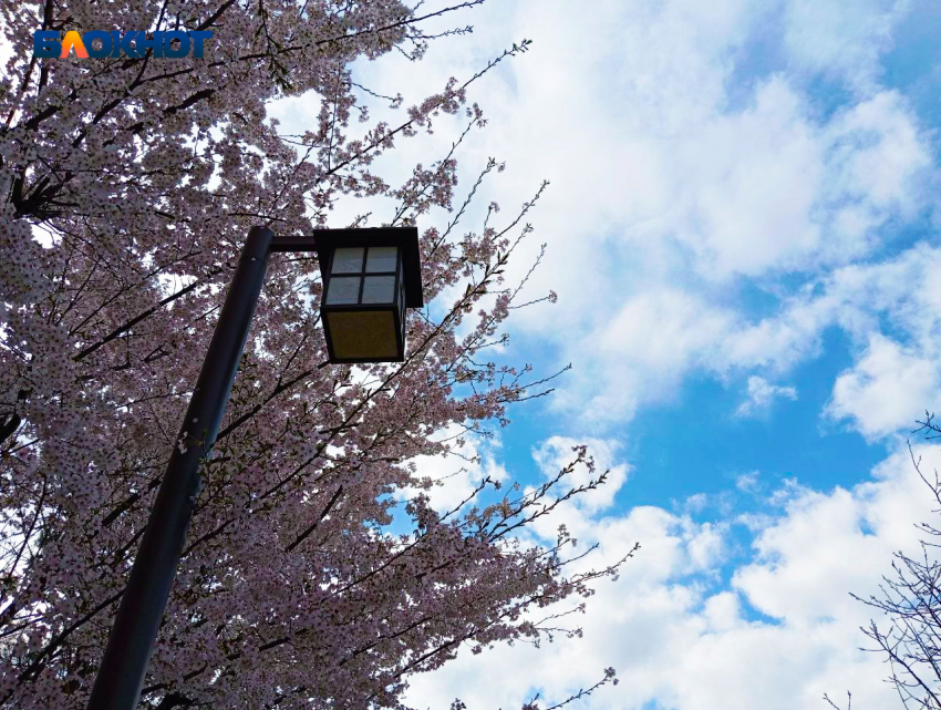 Понедельник не порадует краснодарцев солнечной погодой