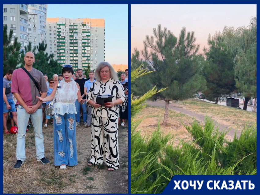 Набережная под угрозой: краснодарцы выступили против уничтожения зеленой зоны ради мусорки
