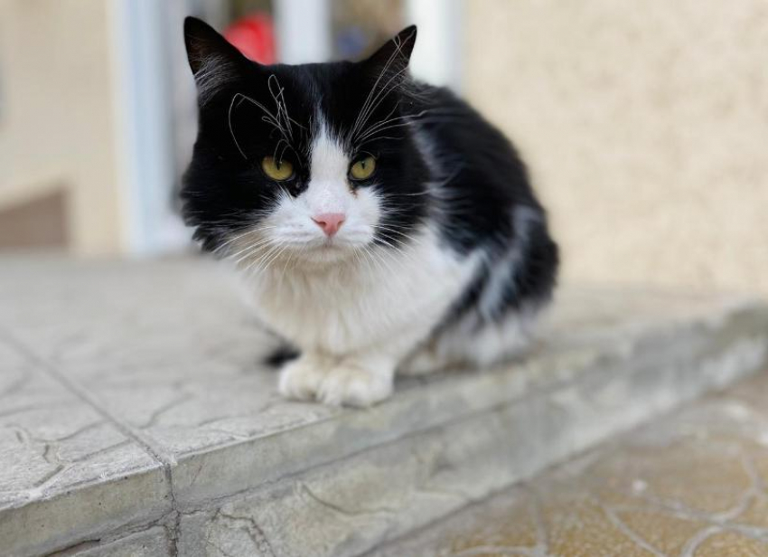 Мороз ночью, солнце – днем: синоптики рассказали о погоде на Кубани