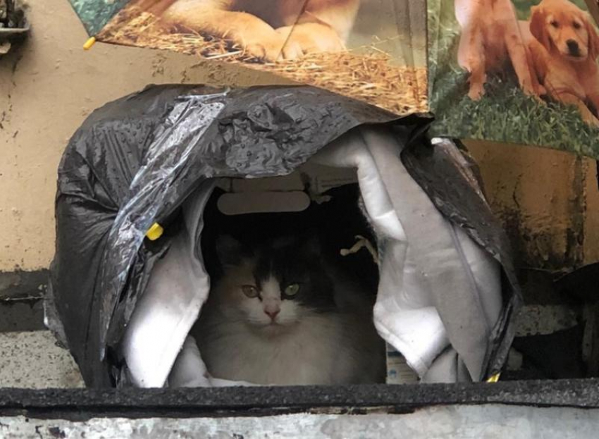 Ждём потопов: на Кубани 22 мая ожидаются сильные дожди с грозой и ветром