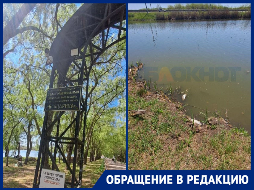 «Спасите озеро»: туристы бьют тревогу из-за мора рыбы у монастыря на Кубани