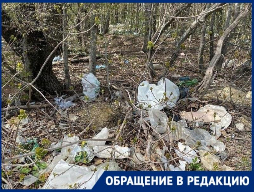 Мусорный полигон тлеет, душит и обрастает отходами: жители Новороссийска призвали власти к ответу