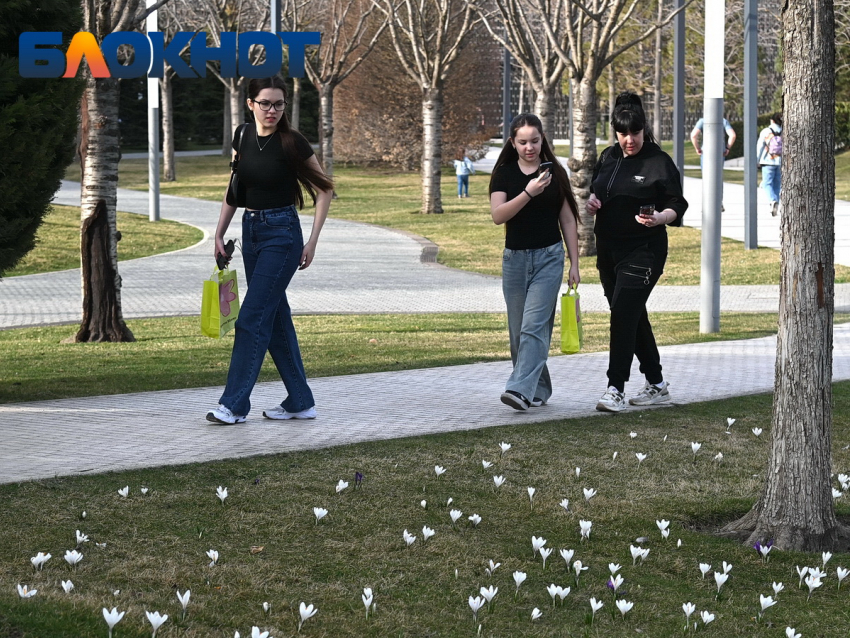 Потепление до +16 градусов ожидается в Краснодаре