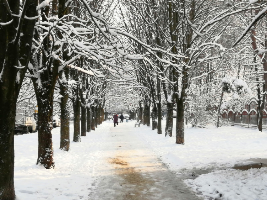 В Краснодаре в воскресенье синоптики прогнозируют снег и дождь 
