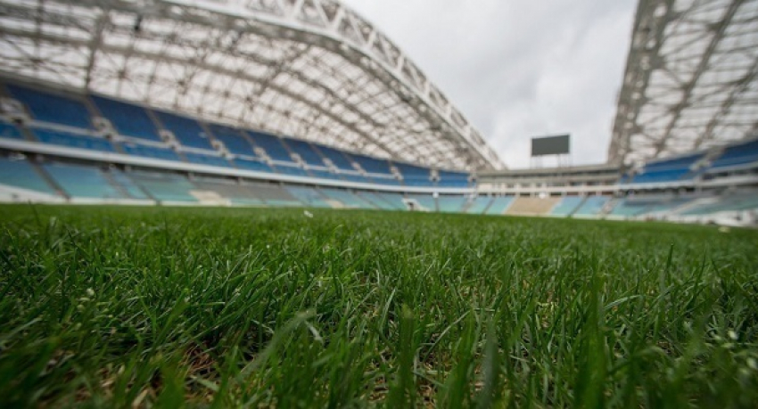 Продажи билетов на матч Россия-Бельгия в Сочи стартуют 1 марта