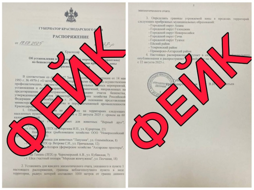 В Краснодарском крае опровергли слухи о карантине по бешенству на побережье