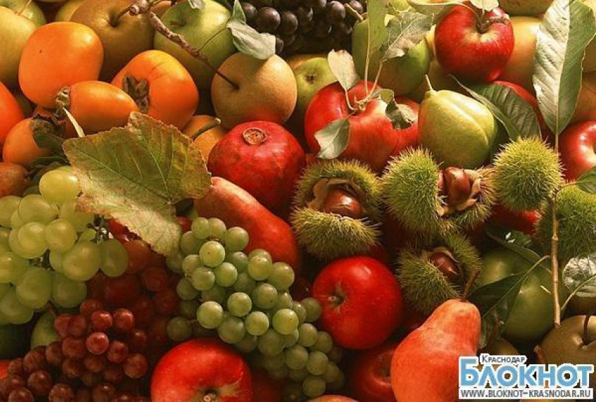 Краснодарский край поставляет 50% фруктов и ягод на отечественный рынок