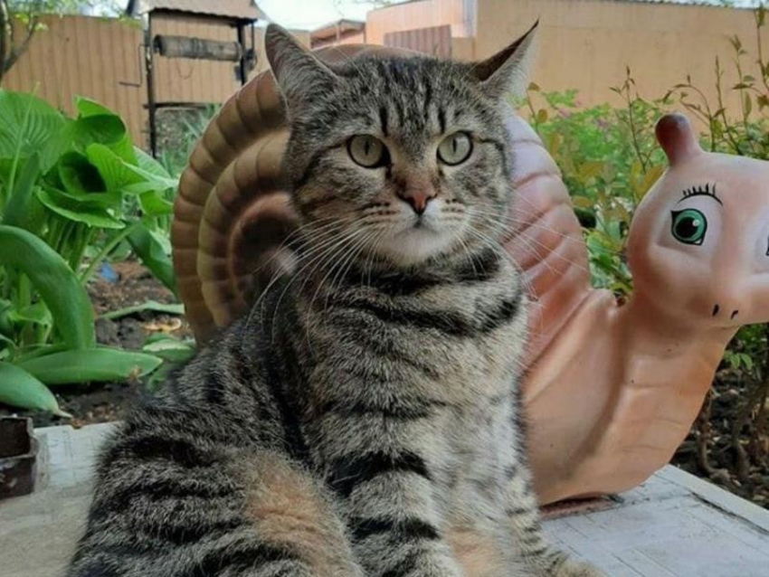 На Кубани дождь с грозой сменится теплой погодой