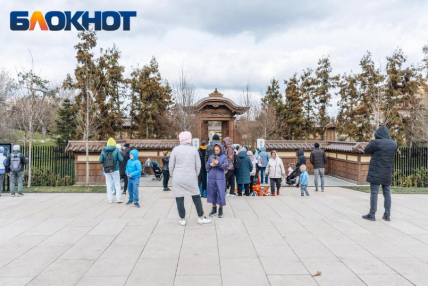«Пенсионеры дерутся, создаются списки и продаются места»: москвичка о посещении Японского сада в парке «Краснодар»