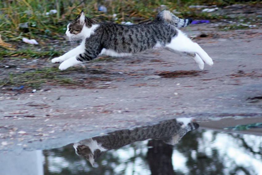  Дождь с грозой обещают на Кубани 