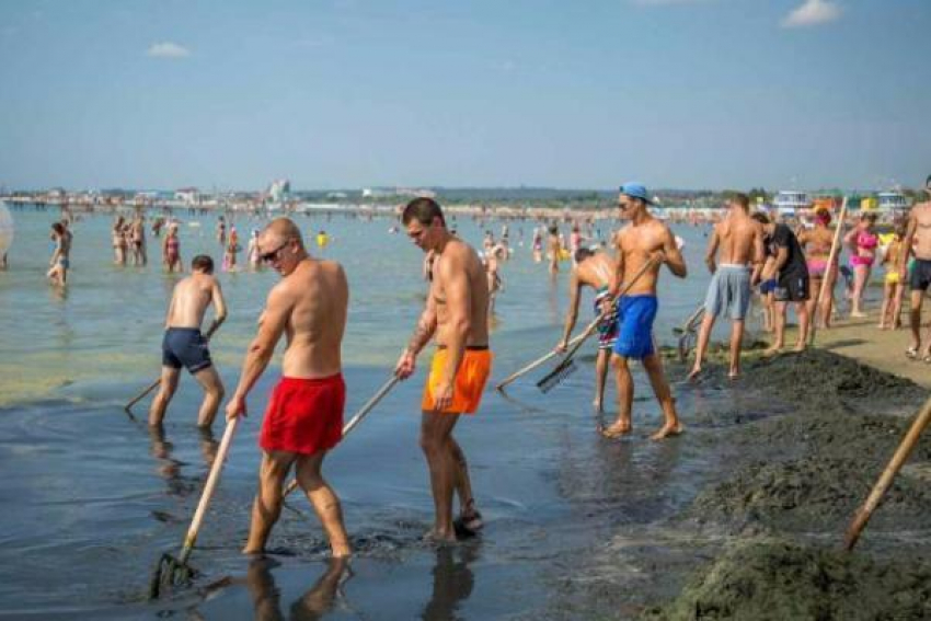 В Анапе по ночам водоросли вывозят машинами