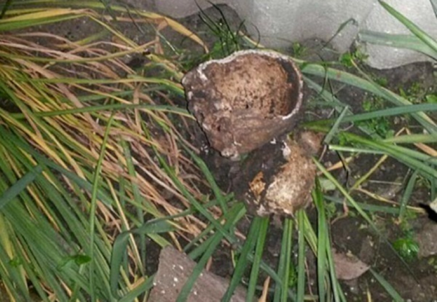 В Крымске мужчина нашел в огороде человеческие останки 