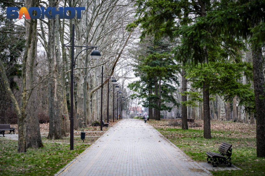 В Краснодаре временно закрыли дендрарий 